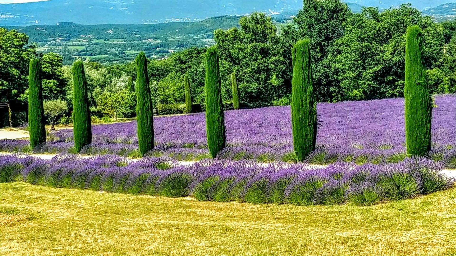 Le Mas De Roussillon Roussillon  Exterior photo